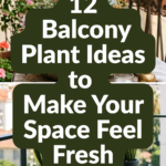 12 Balcony Plant Ideas to Make Your Space Feel Fresh