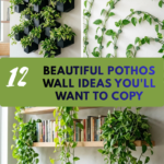12 Beautiful Pothos Wall Ideas You’ll Want to Copy