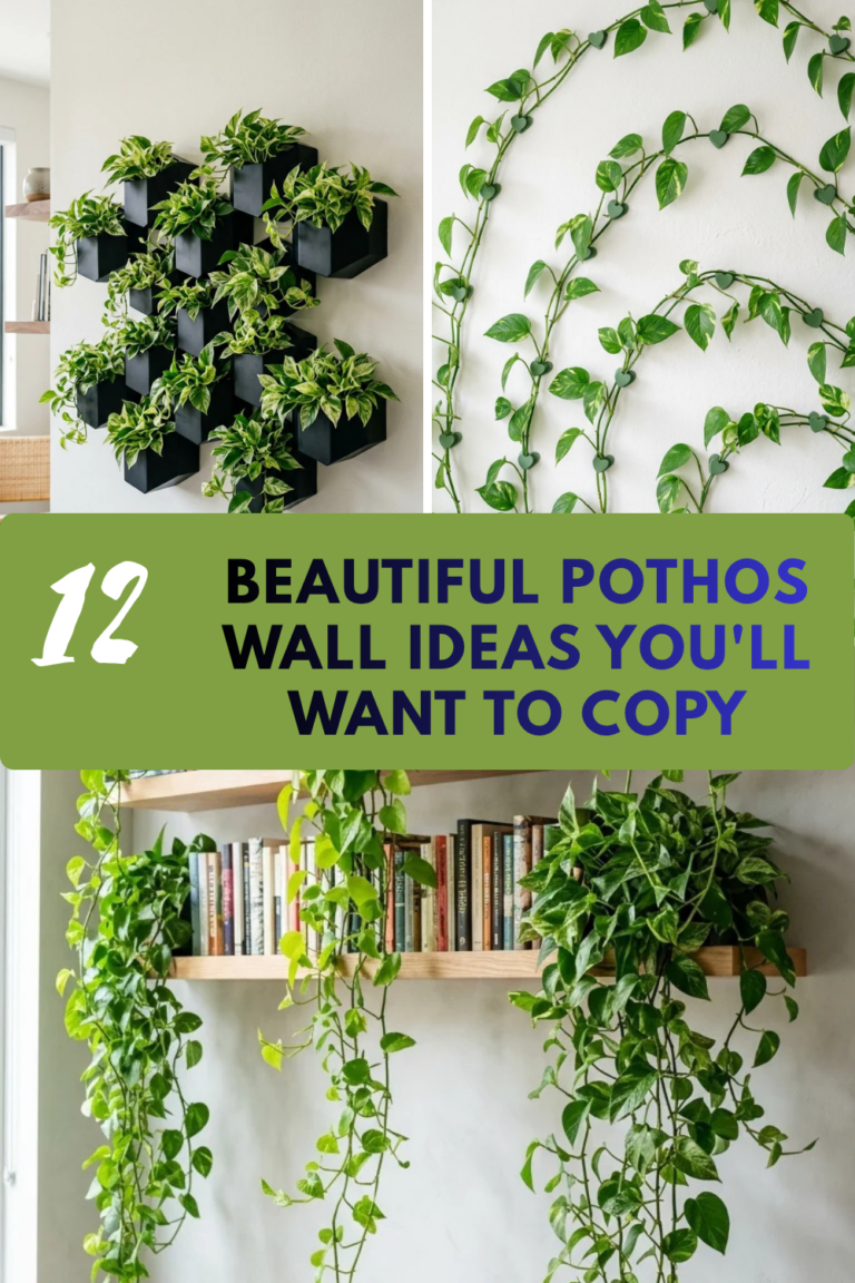 12 Beautiful Pothos Wall Ideas You’ll Want to Copy