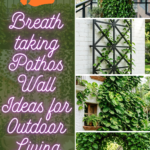12 Breathtaking Pothos Wall Ideas for Outdoor Living