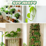 13 Vertical Pothos Wall Ideas That Maximize Small Spaces