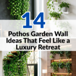 14 Pothos Garden Wall Ideas That Feel Like a Luxury Retreat