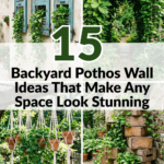 15 Backyard Pothos Wall Ideas That Make Any Space Look Stunning