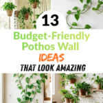 13 Budget-Friendly Pothos Wall Ideas That Look Amazing