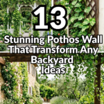 13 Stunning Pothos Wall Ideas That Transform Any Backyard