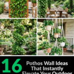 16 Pothos Wall Ideas That Instantly Elevate Your Outdoor Space