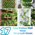 17 Easy Pothos Wall Ideas for a Lush Green Backyard