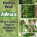 19 Pothos Wall Ideas That Create a Tropical Backyard Oasis