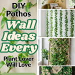 11 DIY Pothos Wall Ideas Every Plant Lover Will Love
