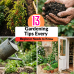 13 Gardening Tips Every Beginner Needs to Know