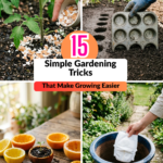 15 Simple Gardening Tricks That Make Growing Easier