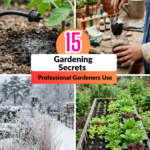 15 Gardening Secrets Professional Gardeners Use