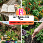 14 Easy Gardening Tips for a Beautiful Home Garden