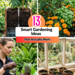 13 Smart Gardening Ideas That Actually Work