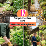 17 Simple Garden Care Routines for Beginners