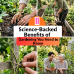 11 Science-Backed Benefits of Gardening You Need to Know