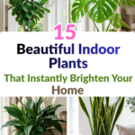 15 Beautiful Indoor Plants That Instantly Brighten Your Home