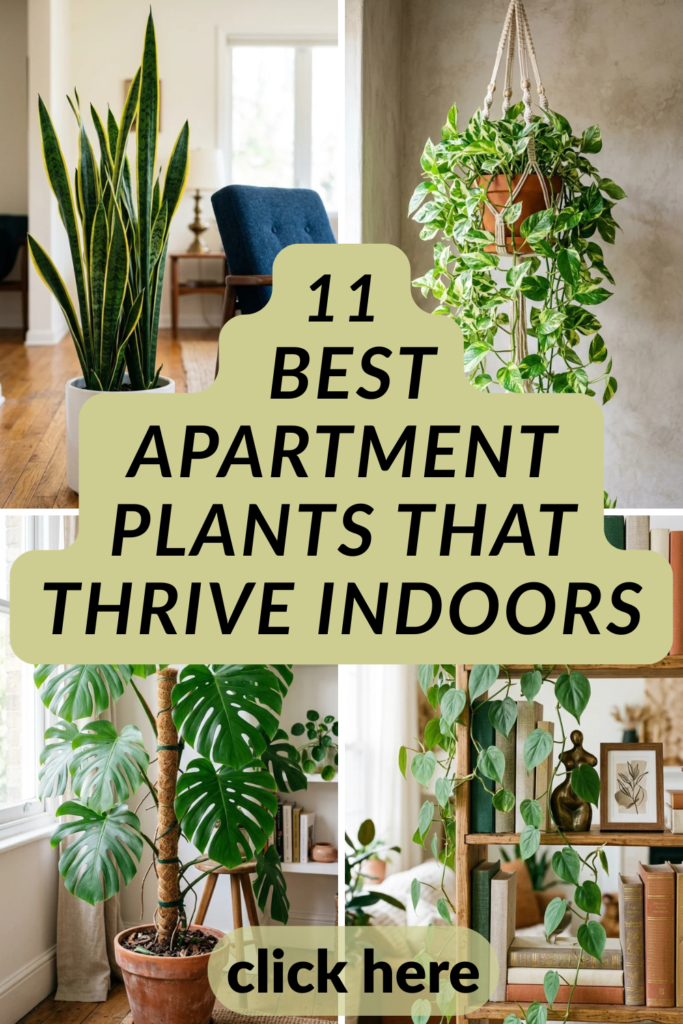 11 Best Apartment Plants That Thrive Indoors