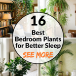 16 Best Bedroom Plants for Better Sleep