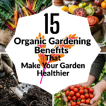 15 Organic Gardening Benefits That Make Your Garden Healthier