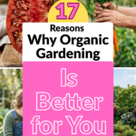 17 Reasons Why Organic Gardening Is Better for You