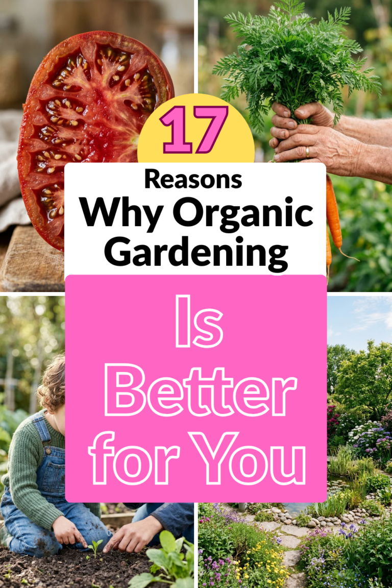 17 Reasons Why Organic Gardening Is Better for You