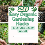 20 Easy Organic Gardening Hacks That Actually Work