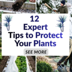 The Ultimate Guide to Winter Gardening: 12 Expert Tips to Protect Your Plants