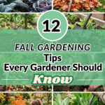 12 Fall Gardening Tips Every Gardener Should Know
