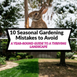 10 Seasonal Gardening Mistakes to Avoid: A Year-Round Guide to a Thriving Landscape