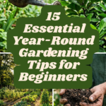 15 Essential Year-Round Gardening Tips for Beginners