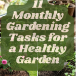 11 Monthly Gardening Tasks for a Healthy Garden