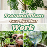 12 Seasonal Plant Care Tips That Work