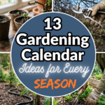 13 Gardening Calendar Ideas for Every Season