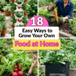 18 Easy Ways to Grow Your Own Food at Home
