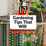 17 Gardening Tips That Will Transform Your Garden