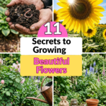 11 Secrets to Growing Beautiful Flowers