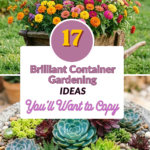 17 Brilliant Container Gardening Ideas You’ll Want to Copy