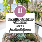 11 Beautiful Container Gardening Ideas for Small Spaces