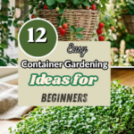 12 Easy Container Gardening Ideas for Beginners