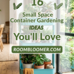 16 Small Space Container Gardening Ideas You’ll Love