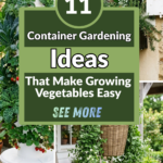 11 Container Gardening Ideas That Make Growing Vegetables Easy