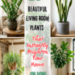 10 Beautiful Living Room Plants That Instantly Brighten Your Home