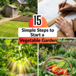 15 Simple Steps to Start a Vegetable Garden