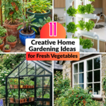 11 Creative Home Gardening Ideas for Fresh Vegetables