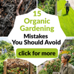 15 Organic Gardening Mistakes You Should Avoid