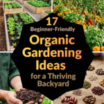 17 Beginner-Friendly Organic Gardening Ideas for a Thriving Backyard