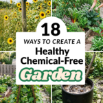 18 Ways to Create a Healthy Chemical-Free Garden