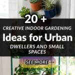 20 Creative Indoor Gardening Ideas for Urban Dwellers and Small Spaces