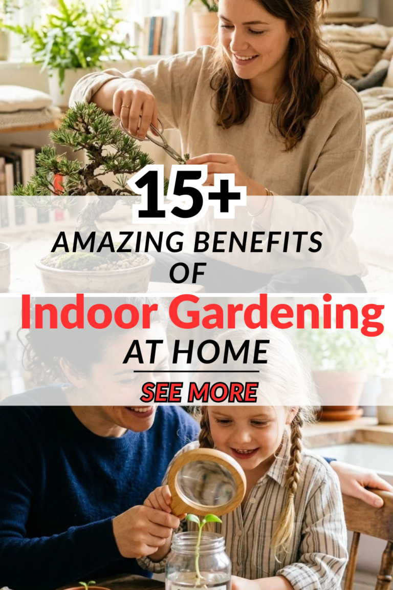 15 Amazing Benefits of Indoor Gardening at Home